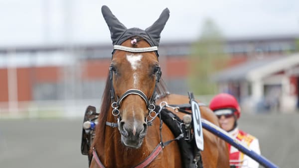 Foto: MATILDA ÖHRMAN / TR BILD
