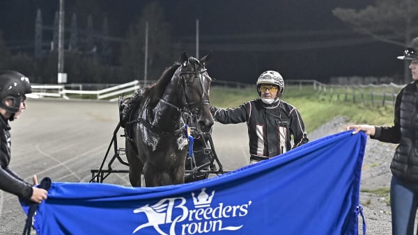 Foto: JENNY REHNMAN / TR BILD