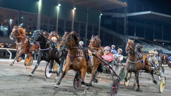 Foto: MIKAEL ROSENQUIST / TR BILD