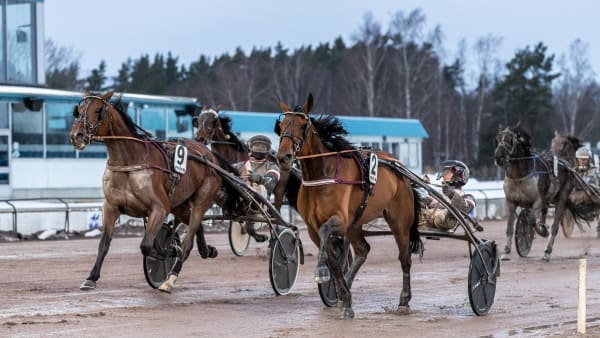 Foto: LENA EMMOTH / TR BILD