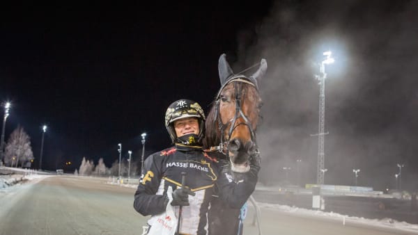 Foto: DAVID SCHREINER / TR BILD