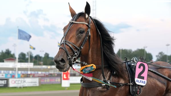 Foto: LARS JAKOBSSON / TR BILD