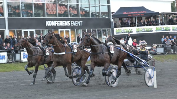 Foto: LARS JAKOBSSON / TR BILD