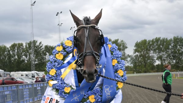 Foto: LARS JAKOBSSON / TR BILD