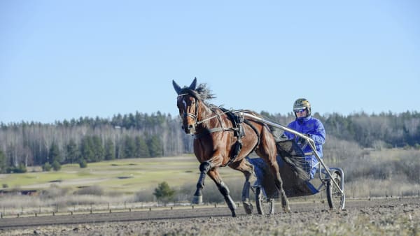 Foto: LARS JAKOBSSON / TR BILD