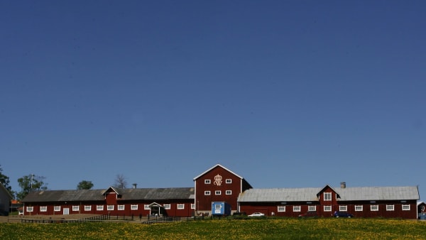 Foto: ANNA GERDMARKER/TR BILD