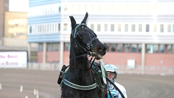 Foto: MARIA HOLMÉN / TR BILD