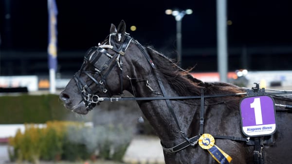 Foto: LARS JAKOBSSON / TR BILD