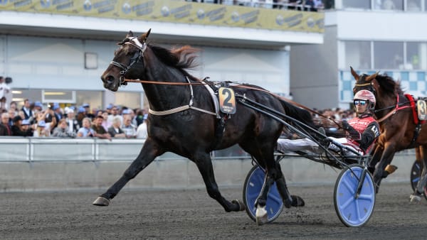 Foto: LENA EMMOTH / TR BILD