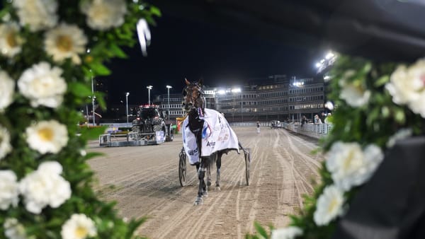 Foto: LARS JAKOBSSON / TR BILD