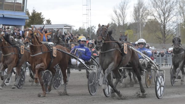 Foto: LARS JAKOBSSON/TR BILD