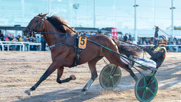 Foto: MIKAEL ROSENQUIST / TR BILD