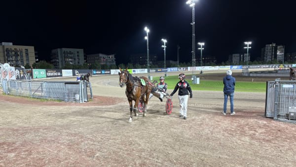 Foto: Emil Persson/TR Bild.