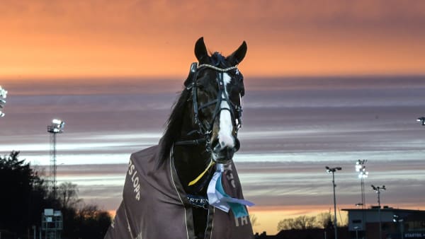 Foto: LARS JAKOBSSON / TR BILD