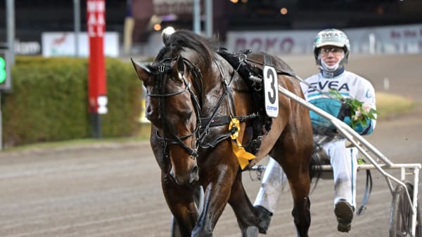 Foto: LARS JAKOBSSON / TR BILD