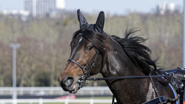 Foto: Jean-Luc Lamaère-LeTROT