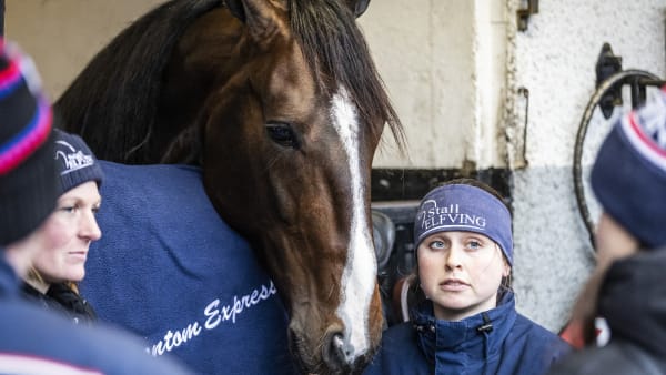 Foto: BRUNO VANDEVELDE/LE TROT