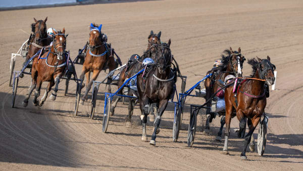 Foto: THOMAS BLOMQVIST / TR BILD