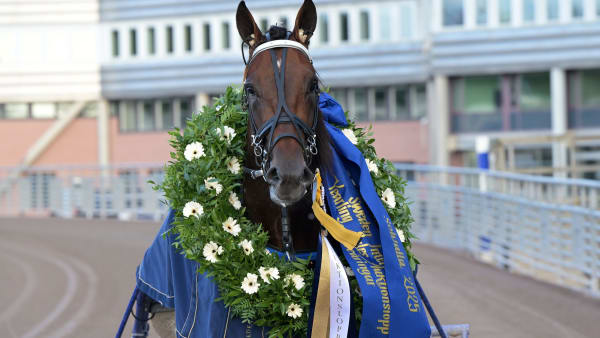 Foto: LARS JAKOBSSON / TR BILD