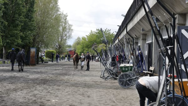 Foto: Roger Svalsrød/Hesteguiden.com