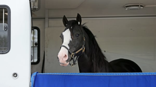 Foto: MATILDA ÖHRMAN / TR BILD