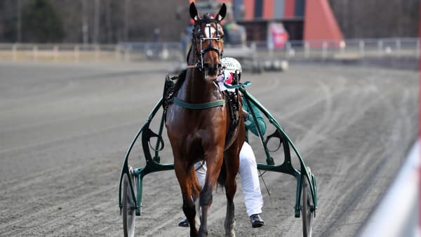 Foto: MALIN ALBINSSON / TR BILD