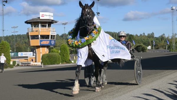 Foto: LARS JAKOBSSON / TR BILD