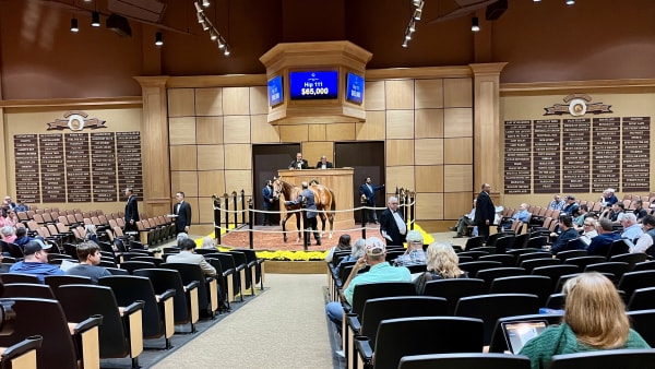 Foto: Mattias Holmgren