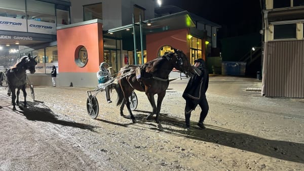 Foto: MATTIAS HOLMGREN/TR BILD