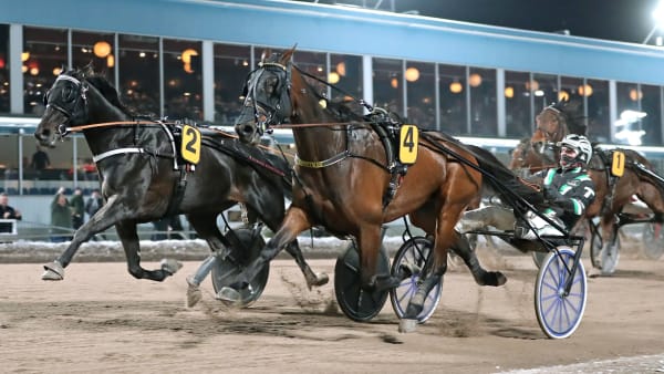 Foto: MARIA HOLMÉN / TR BILD