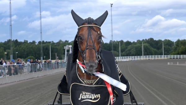 Foto: LARS JAKOBSSON/TR BILD