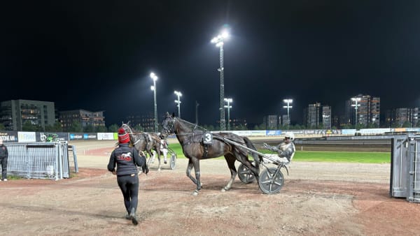 Foto: EMIL PERSSON, TR BILD