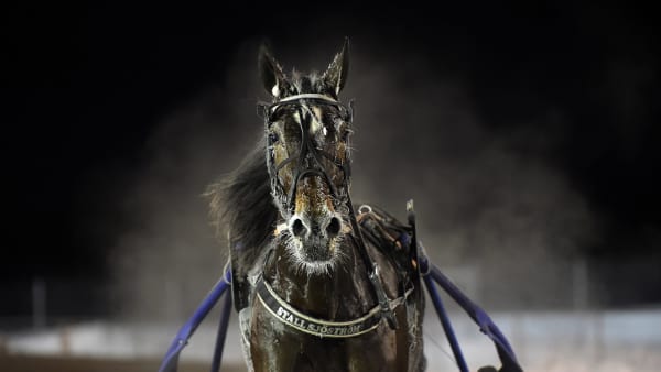 Foto: LARS JAKOBSSON / TR BILD