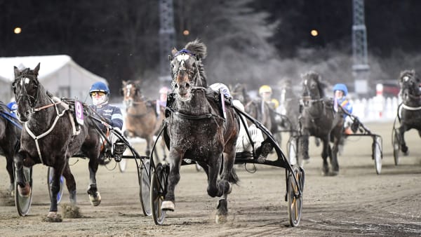 Foto: MALIN ALBINSSON / TR BILD