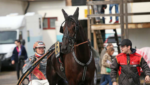 Foto: MATILDA ÖHRMAN / TR BILD