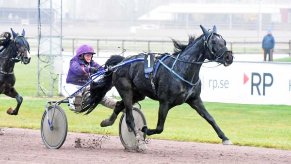 Foto: MAGNUS STRÖMSTEN/ALN