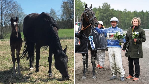 Foto: PRIVAT/ TR BILD/ MALIN ALBINSSON 