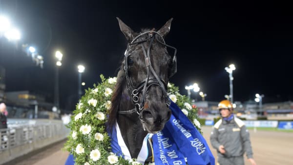 Foto: LARS JAKOBSSON/TR BILD