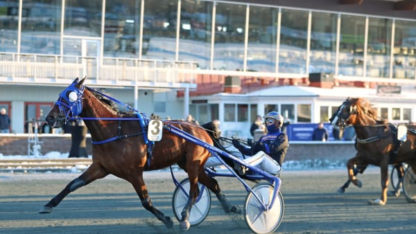 Foto: MARIA HOLMÉN / TR BILD