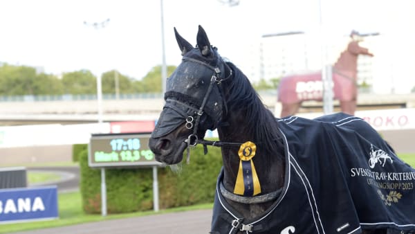 Foto: LARS JAKOBSSON / TR BILD