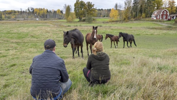 Foto: LARS JAKOBSSON / TR BILD