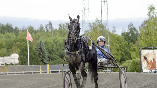 Foto: LARS JAKOBSSON / TR BILD