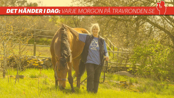 Foto: TR Bild/Montage
