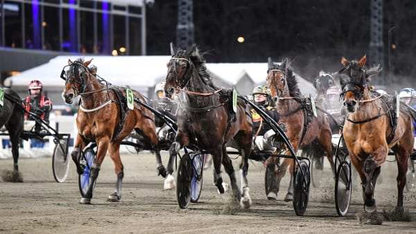 Foto: MALIN ALBINSSON / TR BILD