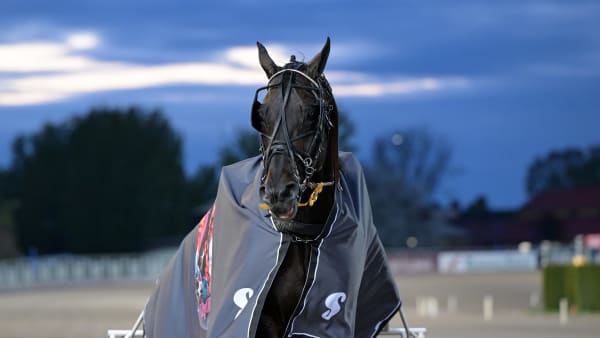 Foto: LARS JAKOBSSON / TR BILD