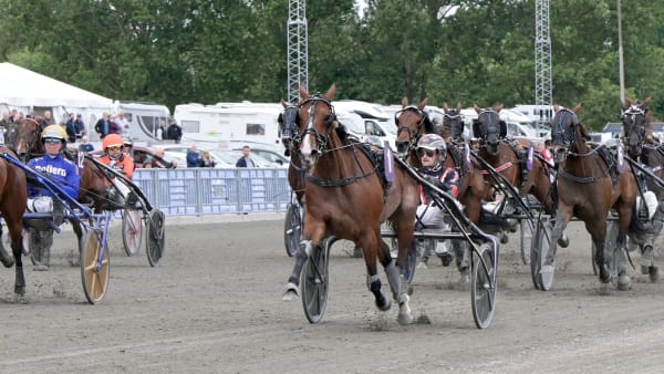 Foto: LARS JAKOBSSON / TR BILD