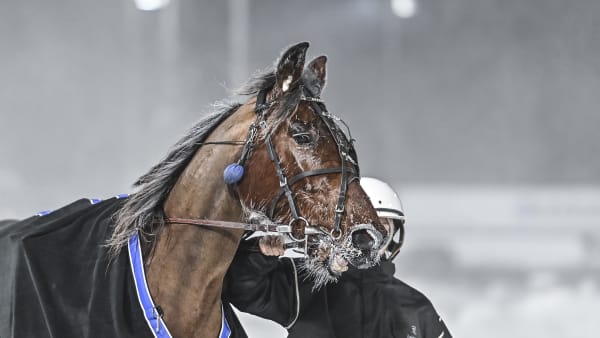 Foto: JENNY REHNMAN / TR BILD