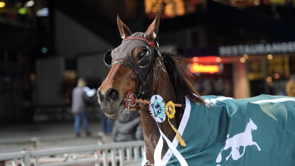 Foto: LARS JAKOBSSON / TR BILD
