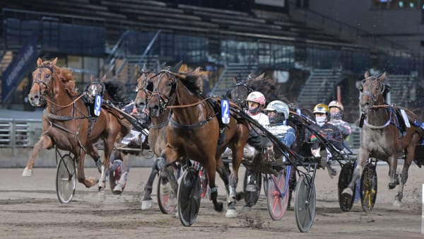 Foto: LARS JAKOBSSON / TR BILD