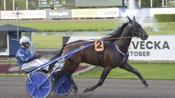 Foto: LARS JAKOBSSON / TR BILD
